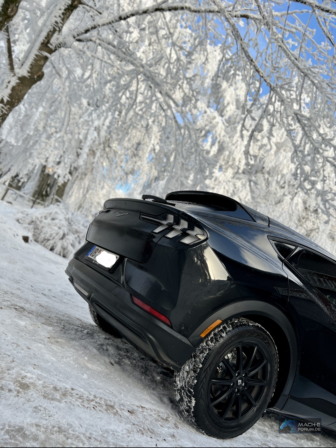 Mustang Mach E im Schnee